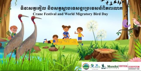 Celebrated 2024 Crane Festival and World Migratory Bird Day