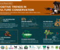 Cambodia Vulture Working Group’s 2023 Annual Report Reveals Positive Trends in Vulture Conservation and Celebrates International Vulture Awareness Day