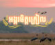 ការ​ដាក់បង្ហាញខ្សែ​ភាពយន្តខ្លីស្តីពី “ស្រូវមិត្តក្រៀល” ដើម្បី​ចូលរួមអបអរ​ទិវា​សត្វស្លាបទេសន្ដរប្រវេសន៍ពិភពលោក​ឆ្នាំ២០២៥
