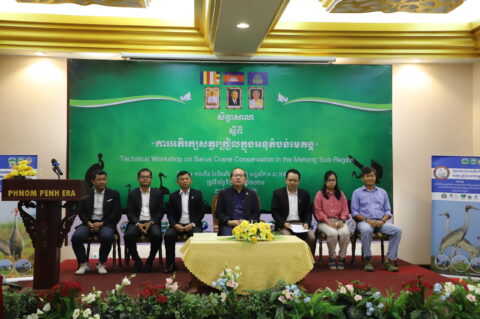 សិក្ខសាលាស្តីពីការអភិរក្សក្រៀលក្នុងអនុតំបន់មេគង្គ