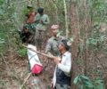 គម្រោងរេដបូកដែនជម្រកសត្វព្រៃលំផាត់គាំទ្រការបោះបង្គោលព្រំតំបន់អភិរក្សនិងតំបន់ស្នូល