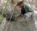 World Wildlife Day: Lomphat Wildlife Sanctuary REDD+ project committed to cease snaring