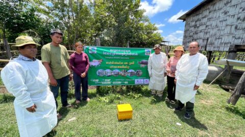 REDD+ Project Helps providing vaccination for buffalo and cows at Roya village