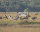 Local communities at Anlung Pring protected landscape actively participate in agricultural hazardous waste management