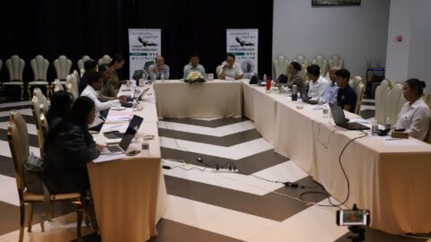 Cambodia Vulture Working Group Strengthens Commitment to Vulture Conservation
