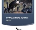 PRESS RELEASE: Celebrating International Vulture Awareness Day: Encouraging Signs for Cambodia’s Vultures Reinforce the Need for Sustained Conservation Action